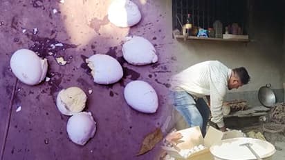 অঙ্গনওয়াড়ি কেন্দ্রের খাবারে পচা ডিম, স্থানীয়দের বিক্ষোভে উত্তাল গোটা গ্রাম 