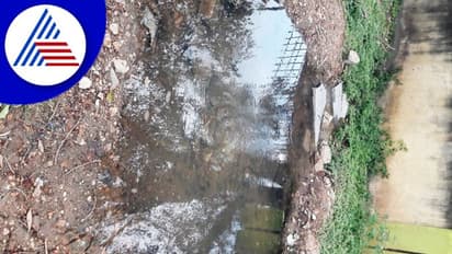 ಚರಂಡಿ ಸೇರುತ್ತಿರುವ ಭದ್ರಾ ನದಿಯ ಅಪಾರ ನೀರು; ಜನಪ್ರತಿಧಿಗಳ ನಿರ್ಲಕ್ಷ್ಯ