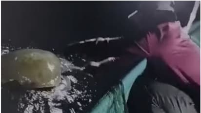 മത്സ്യബന്ധന വലയില് കുടുങ്ങിയ ഒലിവ് റിഡ്ലി ഇനത്തില്പ്പെട്ട കടലാമയെ വല മുറിച്ച് രക്ഷപ്പെടുത്തി; വീഡിയോ