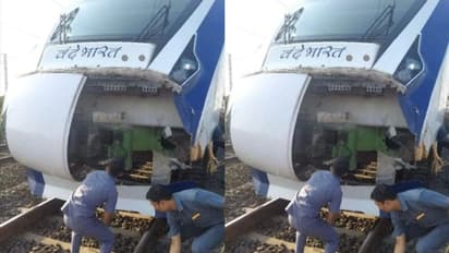 আবারও দুর্ঘটনার কবলে বন্দে ভারত এক্সপ্রেস, এবারও ক্ষতিগ্রস্ত ট্রেনের সামনের অংশ