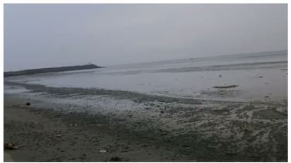 കോഴിക്കോട് കോതി ബീച്ചിന് സമീപം കടല്‍ 100 മീറ്റര്‍ ഉള്‍വലിഞ്ഞു, ഭയക്കാനില്ലെന്ന് അധികൃതര്‍