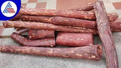 'పుష్ప' చూసి ఎర్రచందనం స్మగ్లింగ్.. కట్ చేస్తే.. ఏడుగురి అరెస్ట్, రూ. కోటి విలువైన కలప స్వాధీనం