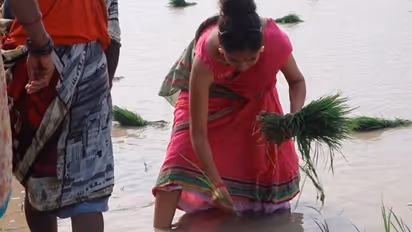 ತಂದೆ ಕಳೆದುಕೊಂಡು ಖಿನ್ನತೆಗೆ ಜಾರಿದ ಕಿರುತೆರೆ ನಟಿ ರತನ್; ಕೃಷಿ ಕೈಗೆತ್ತಿಕೊಂಡಿದ್ದು ಯಾಕೆ?