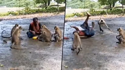 Monkey attack man after he refused to give chips; hilarious video goes viral