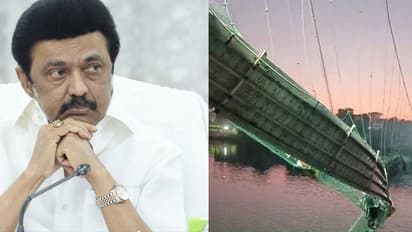 பல அப்பாவி உயிர்கள் பலியாகியிருப்பது ரொம்ப வேதனையா இருக்கு.. கலங்கிய படி இரங்கல் தெரிவித்த முதல்வர் ஸ்டாலின்.!