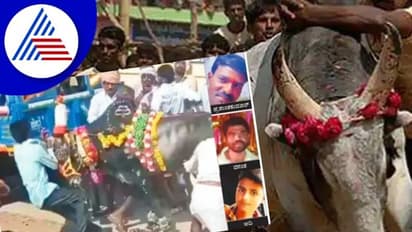 ಹೋರಿ ಬೆದರಿಸುವ ಸ್ಪರ್ಧೆ ಮೂವರು ಸಾವು; ನಿಷೇಧವಿದ್ದರೂ ನಡೆಯುತ್ತಿದೆ ಹೋರಿ ಹಬ್ಬ!