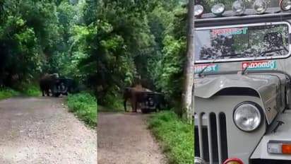 അതിരപ്പിള്ളിയില് ഫോറസ്റ്റ് ജീപ്പിന് നേരെ 'കപാലി'യുടെ ആക്രമണം, രക്ഷപ്പെട്ടത് തലനാരിഴയ്ക്ക് - വീഡിയോ