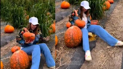 ಫೋಟೋಗಾಗಿ ಚೀನಿಕಾಯಿ ಮೇಲೆ ಕುಳಿತ ಬ್ಯೂಟಿ... ಆಮೇಲೇನಾಯ್ತು ನೋಡಿ