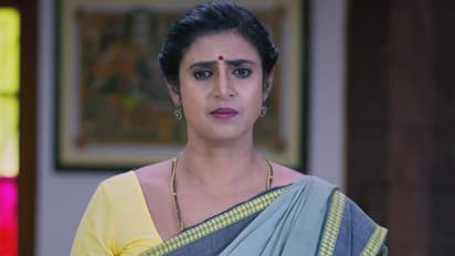 Intinti Gruhalakshmi: అంకిత, శృతి మధ్య చిచ్చు పెట్టిన లాస్య.. లాస్యకు బుద్ధి చెప్పిన తులసి?