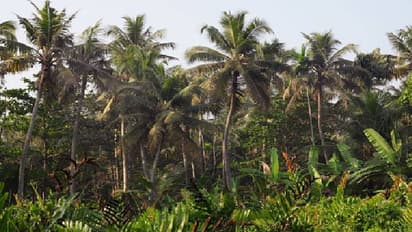 കേരളം@66; എങ്ങനെയുണ്ടായി കേരളം? 