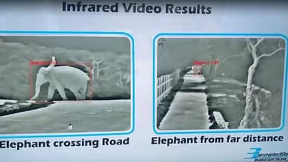 Made-in-India Artificial Intelligence to prevent trains from hitting animals