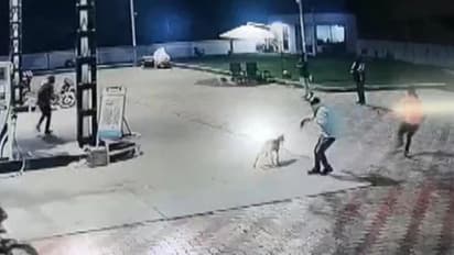 മോഷണത്തിന് എത്തിയാളെ വെടിവച്ചുകൊന്ന് സെക്യൂരിറ്റി ഗാര്‍ഡ് - വീഡിയോ