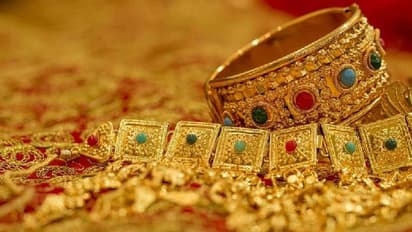 హైదరాబాద్‌లో రూ. 7 కోట్ల ఆభరణాల చోరీ కేసులో నిందితుడు అరెస్ట్.. అడవిలో పాతిపెట్టిన నగలు స్వాధీనం.. 