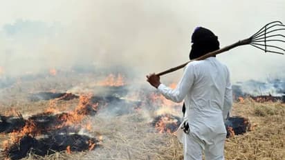 പഞ്ചാബിൽ വൈക്കോൽ കത്തിച്ചതിന് ഇന്നലെ മാത്രം രജിസ്റ്റർ ചെയ്തത് 3634 കേസുകൾ, ശ്വാസംമുട്ടി ദില്ലി
