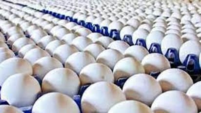 മുട്ട കിട്ടാനില്ല, ഇന്ത്യയോട് ചോദിച്ച് ബംഗ്ലാദേശ്, കയറ്റി അയച്ചത് രണ്ടര ലക്ഷം മുട്ടകൾ