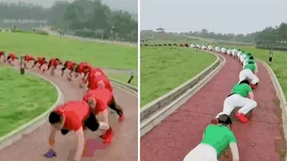 ചൈനയിൽ ട്രെൻഡായി മുതല നടത്തം, ചെയ്യുന്നത് നൂറുകണക്കിനാളുകൾ, മുന്നറിപ്പുമായി ഡോക്ടർമാർ