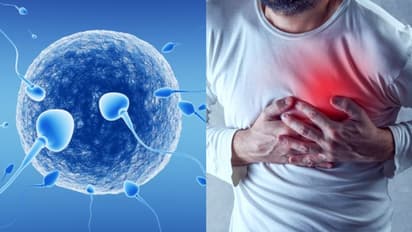 ഹൃദയാഘാതം, ബീജങ്ങളുടെ എണ്ണം കുറയ്ക്കാം  ; വായു മലിനീകരണം മൂലം ഉണ്ടാകാവുന്ന ആരോ​ഗ്യ പ്രശ്നങ്ങൾ 