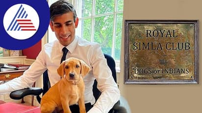 ಪ್ರೀತಿಯ ನಾಯಿಗಾಗಿ ನಿಯಮ ಉಲ್ಲಂಘನೆ, ಸಂಕಷ್ಟಕ್ಕೆ ಸಿಲುಕಿದ ಬ್ರಿಟನ್ ಪ್ರಧಾನಿ ರಿಷಿ ಸುನಕ್!