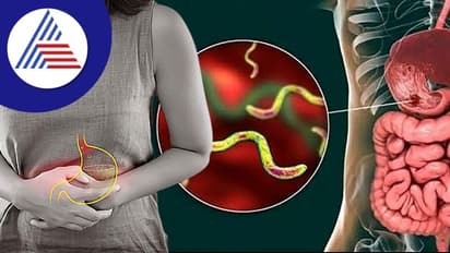 ಹೊಟ್ಟೆ ನೋವಾ? ಕಾರಣ ಏನಾದರೂ ಇರಲಿ, ಇಗ್ನೋರ್ ಮಾಡಬೇಡಿ