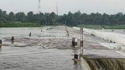 ಚಿಕ್ಕಮಗಳೂರಲ್ಲಿ ಧಾರಾಕಾರ ಮಳೆ: ಅಡಿಕೆ‌ ತೋಟ ನೋಡಲು ತೆರಳಿದ್ದ ‌ವೃದ್ಧೆ ನಾಪತ್ತೆ