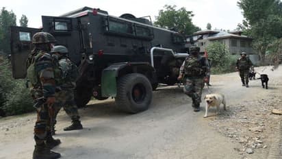 J&K: Three Lashkar-e-Taiba terrorists killed by security forces in Shopian encounter