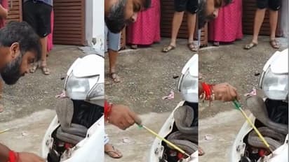 ಸ್ಕೂಟರ್ ಒಳನುಗ್ಗಿ ಬೆಚ್ಚನೆ ಮಲಗಿದ್ದ ಹಾವಿನ ರಕ್ಷಣೆ