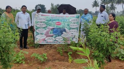 ಬೆಳೆ ಸಮೀಕ್ಷೆ ರಾಜ್ಯಕ್ಕೆ ಚಿಕ್ಕಬಳ್ಳಾಪುರ ಪ್ರಥಮ