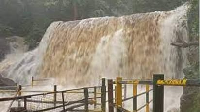 கனமழை காரணமாக சுருளி அருவியில் வெள்ளப்பெருக்கு... அருவியில் குளிக்க தடை விதித்தது வனத்துறை!!