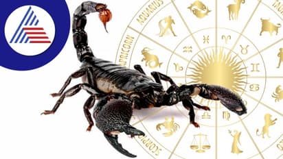 ವೃಶ್ಚಿಕ ರಾಶಿಯೊಂದಿಗೆ ಡೇಟಿಂಗ್ಗೆ ಮುನ್ನ ಈ 5 ವಿಷಯ ತಿಳಿದಿರಲಿ..