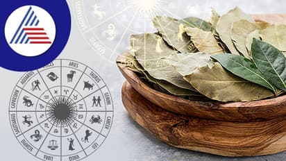 ಲವಂಗ ಲಕ್ ತರುತ್ತೆ ಅಂತ ಗೊತ್ತು, ಇದರ ಎಲೆಯೂ ಒಳ್ಳೇದು ಇಲ್ನೋಡಿ!