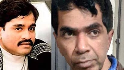 जानें क्यों कुख्यात गैंगेस्टर एजाज लकड़वाला मरे हुए मच्छरों को लेकर पहुंचा कोर्ट, बोला- योर ऑनर...