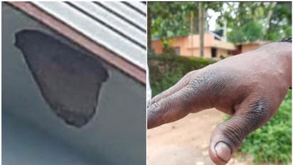 കൂറ്റൻ വാട്ടർടാങ്കിൽ വമ്പൻ തേനീച്ചക്കൂട്, ആക്രമണത്തിൽ നിരവധിപേർ ചികിത്സയിൽ, ഭയത്തോടെ തലസ്ഥാനത്തെ ഒരു പ്രദേശം