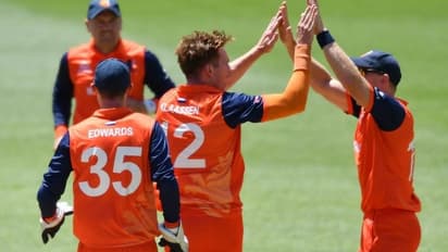 T20 World Cup का अनोखा उलटफेर, नीदरलैंड की जीत से अफ्रीका बाहर, भारत सेमीफाइनल में, पाकिस्तान को मौका