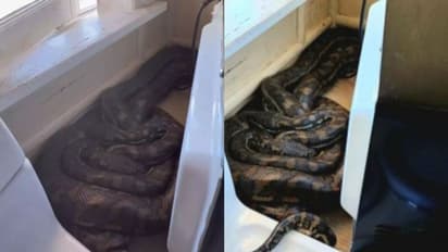 ഓവൻ നീങ്ങുന്നത് പോലെ തോന്നി ; ആ കാഴ്ച കണ്ട് അമ്പരന്ന് വീട്ടുടമ