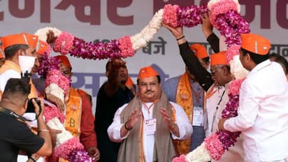 AAP will lose deposit in all 68 seats: BJP chief JP Nadda in poll-bound Himachal Pradesh