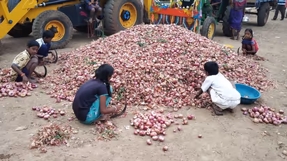 Gadag News: ರೈತರಿಗೆ ಕಣ್ಣೀರು ತಂದ ಈರುಳ್ಳಿ