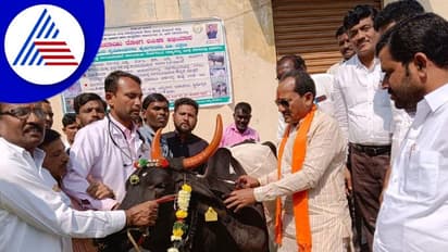 Bidar: ಕಾಲುಬಾಯಿ ಲಸಿಕಾ ಅಭಿಯಾನಕ್ಕೆ ಸಚಿವ ಪ್ರಭು ಚವ್ಹಾಣ್ ಚಾಲನೆ