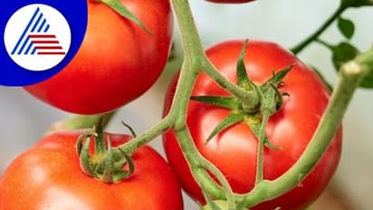 ಕೃಷಿ ಬೆಲೆ ಆಯೋಗಕ್ಕೆ 4 ತಿಂಗಳಿಂದ ಅಧ್ಯಕ್ಷರೇ ಇಲ್ಲ!