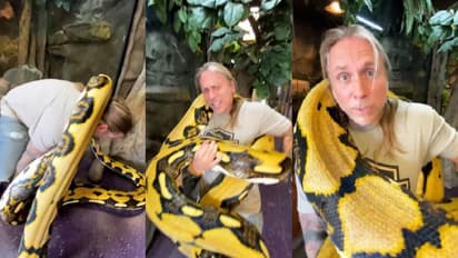 மனிதனை நெருக்கும் மலைப்பாம்பு… இணையத்தில் வைரலாகும் வீடியோ!!