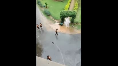 சிஎம்சி மருத்துவக் கல்லூரி மாணவர்கள் அரை நிர்வாண ராக்கிங்;  7 மாணவர்கள் சஸ்பெண்ட்;  வைரல் வீடியோ!!