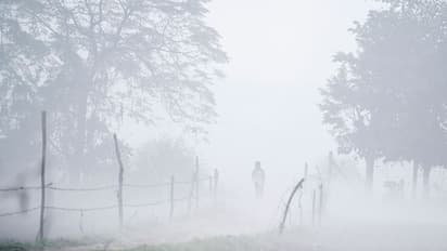 Report from Central Pollution Control Board claims Delhi most polluted city in 2022