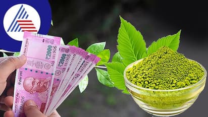 ಮಹಿಳೆಯರು ಹೆಚ್ಚು ರಿಸ್ಕ್ ಇಲ್ಲದೇ ಮಾಡೋ ಬ್ಯುಸಿನೆಸ್ ಇದು!