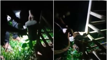 വിതുരയില്‍ പുലിയെ കണ്ടെന്ന് നാട്ടുകാര്‍; ക്യാമറകള്‍ സ്ഥാപിച്ച് വനം വകുപ്പ് 