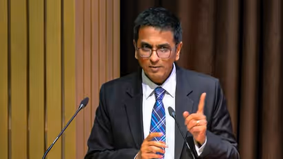 'Judges sense fear of being targeted for granting bail': CJI Chandrachud