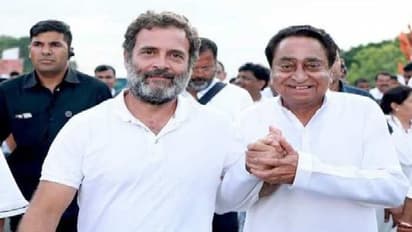 महाकाल-ओंकारेश्वर में पूजन करेंगे राहुल गांधी, देखिए मध्य प्रदेश में भारत जोड़ो यात्रा रूट और शेड्यूल