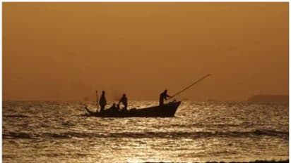 തോട്ടപ്പള്ളിയിൽ മത്സ്യബന്ധന വള്ളങ്ങൾ  കൂട്ടിയിടിച്ച് അപകടം; ഒരാളെ കാണാതായി