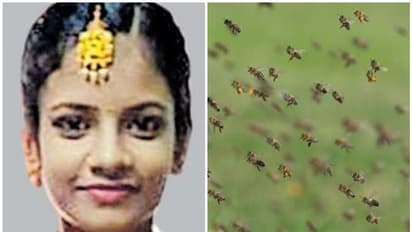 തേനീച്ച കുത്തി, പൊലിഞ്ഞത് 14കാരിയുടെ ജീവന്; സര്ക്കാര് 10 ലക്ഷം രൂപ നഷ്ടപരിഹാരം നല്കണമെന്ന് ഉത്തരവ്