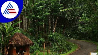 ಮಲೆನಾಡಿಗರಿಗೆ ಮರಣ ಶಾಸನಗಳಾದ ಅರಣ್ಯ ಕಾಯ್ದೆಗಳು