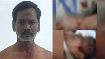ഒറ്റപ്പാലത്ത് മോഷണ ശ്രമം: തടയാൻ ശ്രമിച്ച വൃദ്ധദമ്പതികളെ വെട്ടിപ്പരിക്കേൽപ്പിച്ചു, കള്ളൻ ബാലൻ പിടിയിൽ