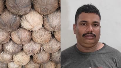 300 കിലോ തേങ്ങ തട്ടിയെടുത്ത് ഒളിവില് പോയ യുവാവ് 11 മാസത്തിന് ശേഷം അറസ്റ്റില്